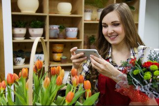 Artikelverwaltung Software Blumengroßhandel und Blumengeschäft
