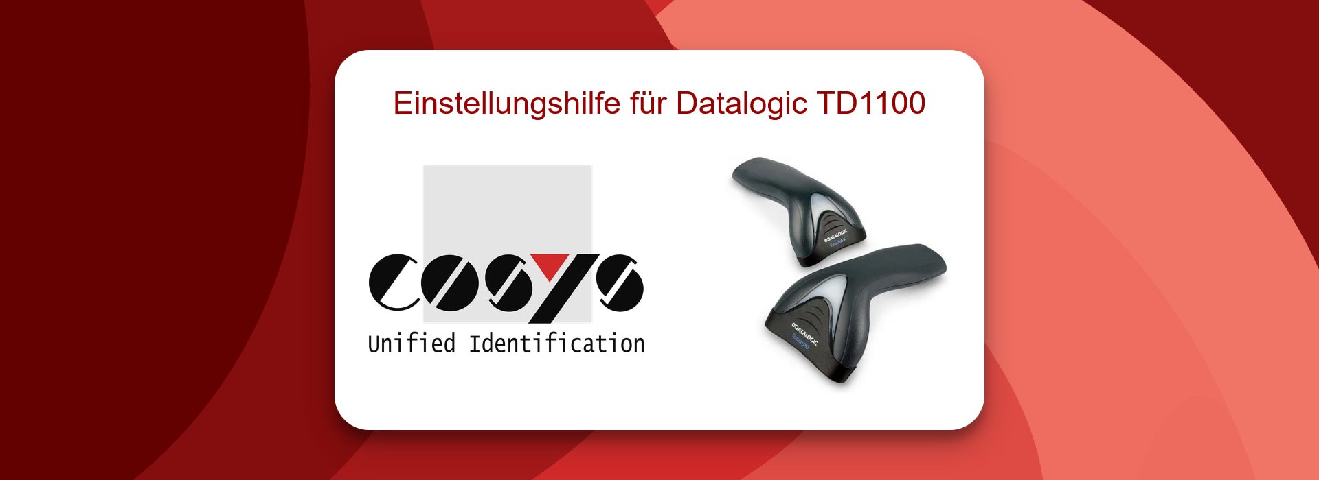Datalogic TD1100 konfigurieren: COSYS Suppport