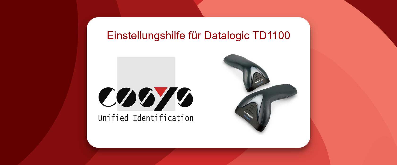Datalogic TD1100 konfigurieren