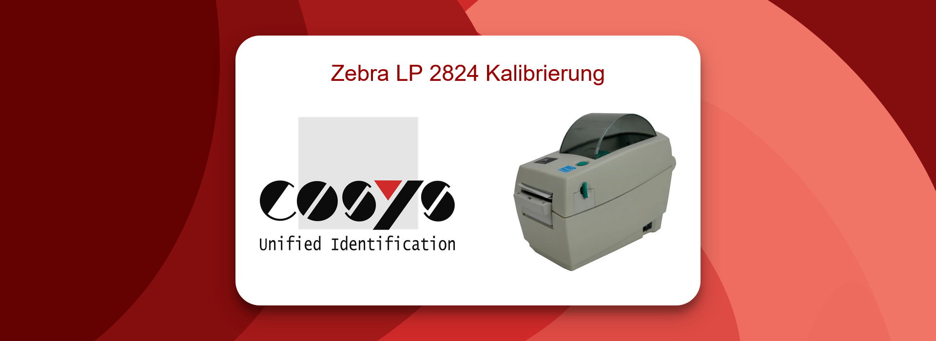 Anleitung: Zebra LP 2824 Drucker kalibrieren
