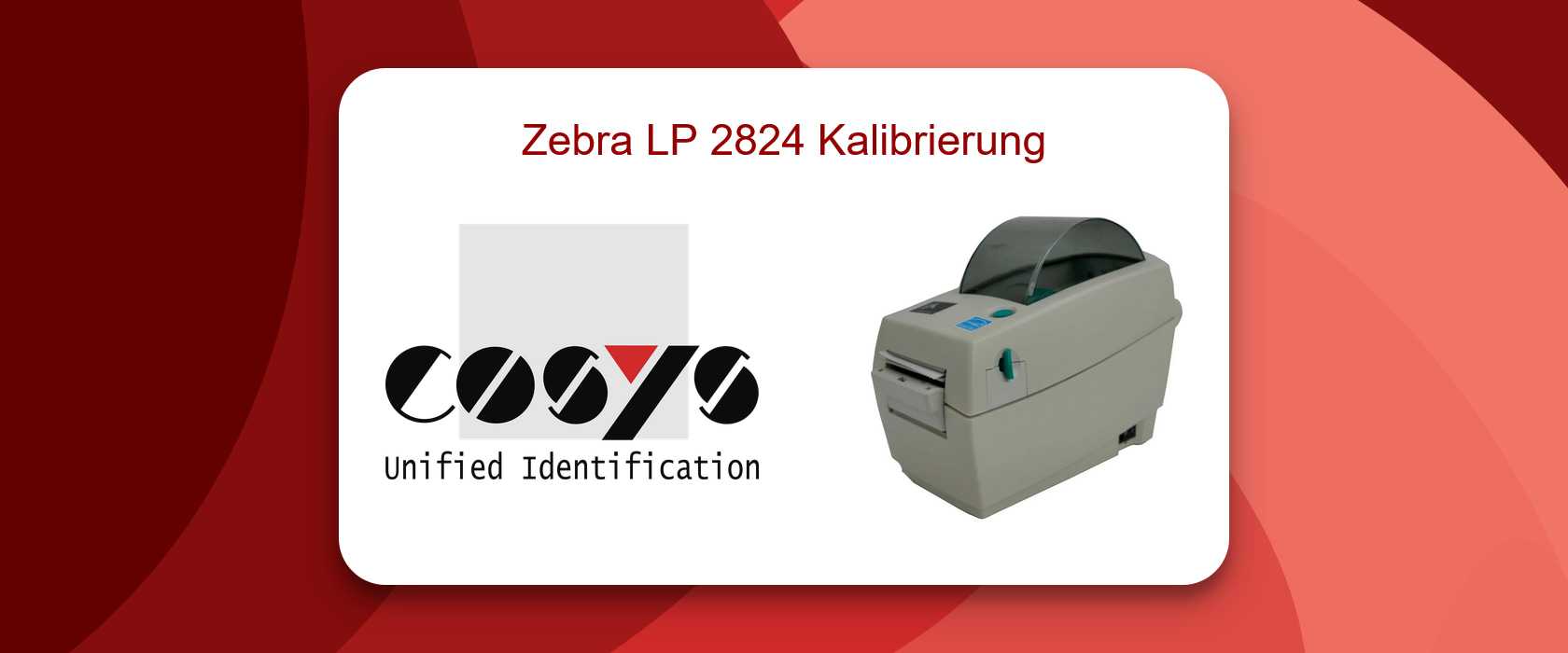 Zebra LP 2824 Kalibrierung