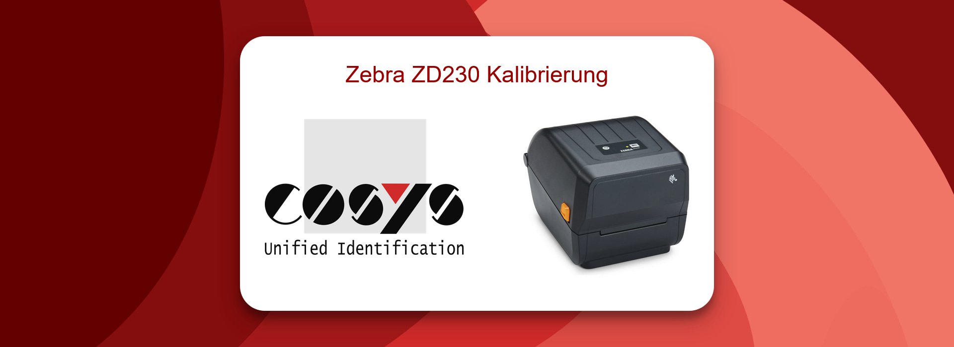 Zebra ZD230 Drucker: Kalibrierungstipps