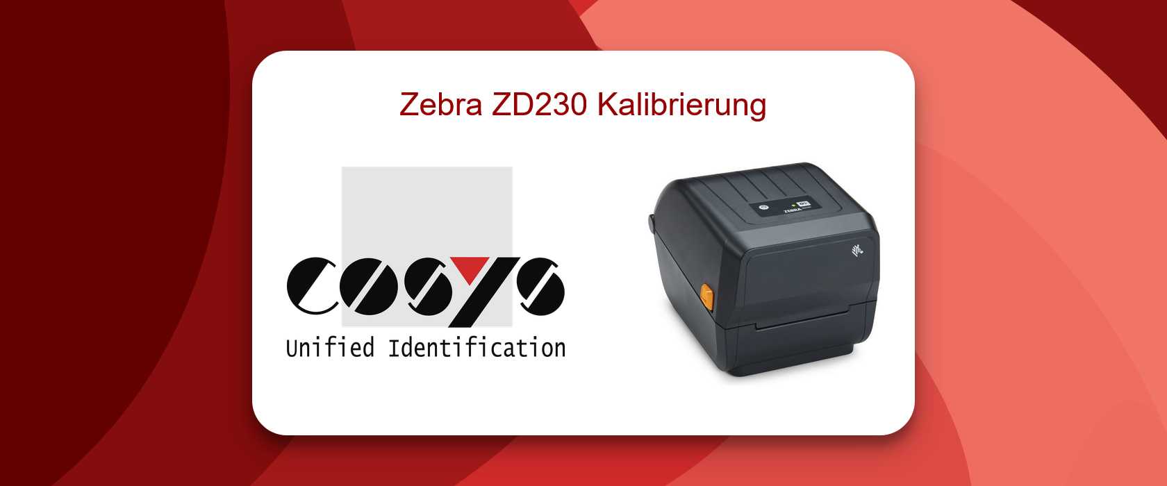 Zebra ZD230 Drucker Kalibrierung