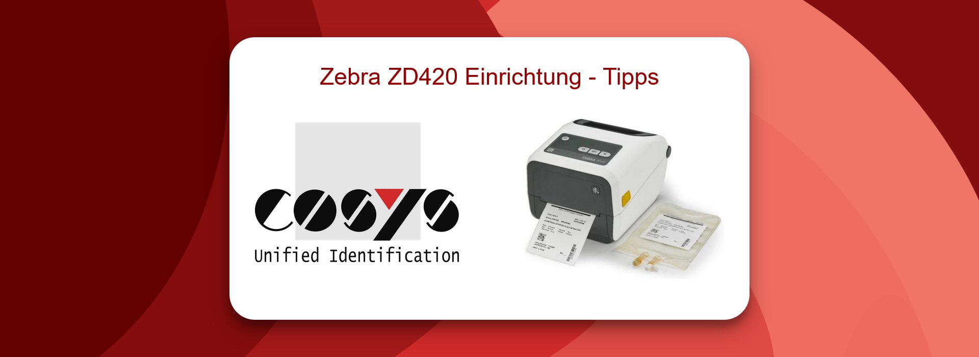Zebra ZD420 Einrichtung - Schnellstart-Tipps