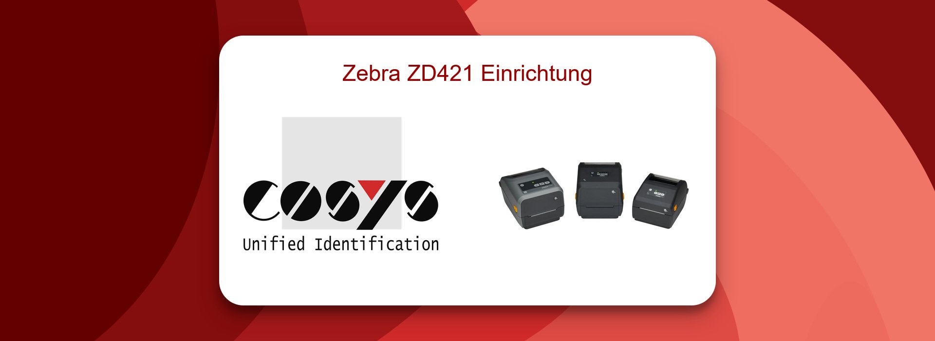 Zebra ZD421 Einrichtung: Schritt für Schritt
