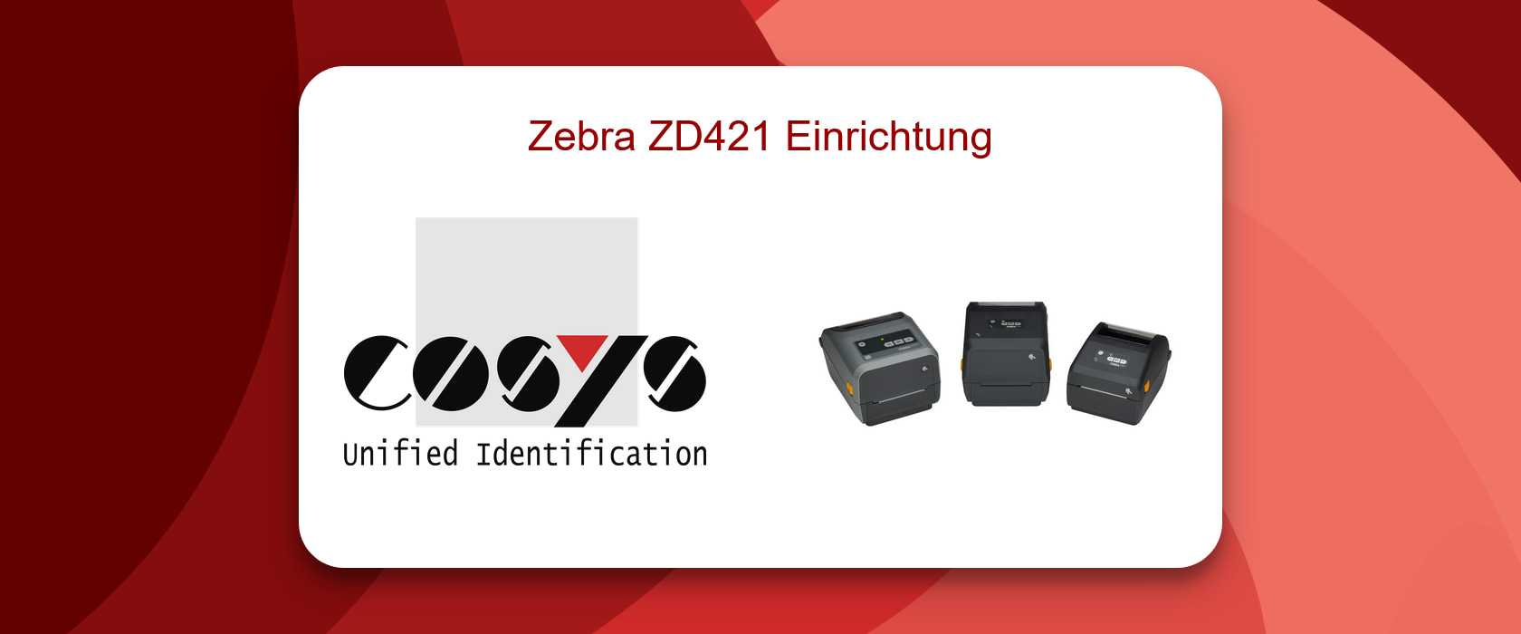 Zebra ZD421 Einrichtungsprozess