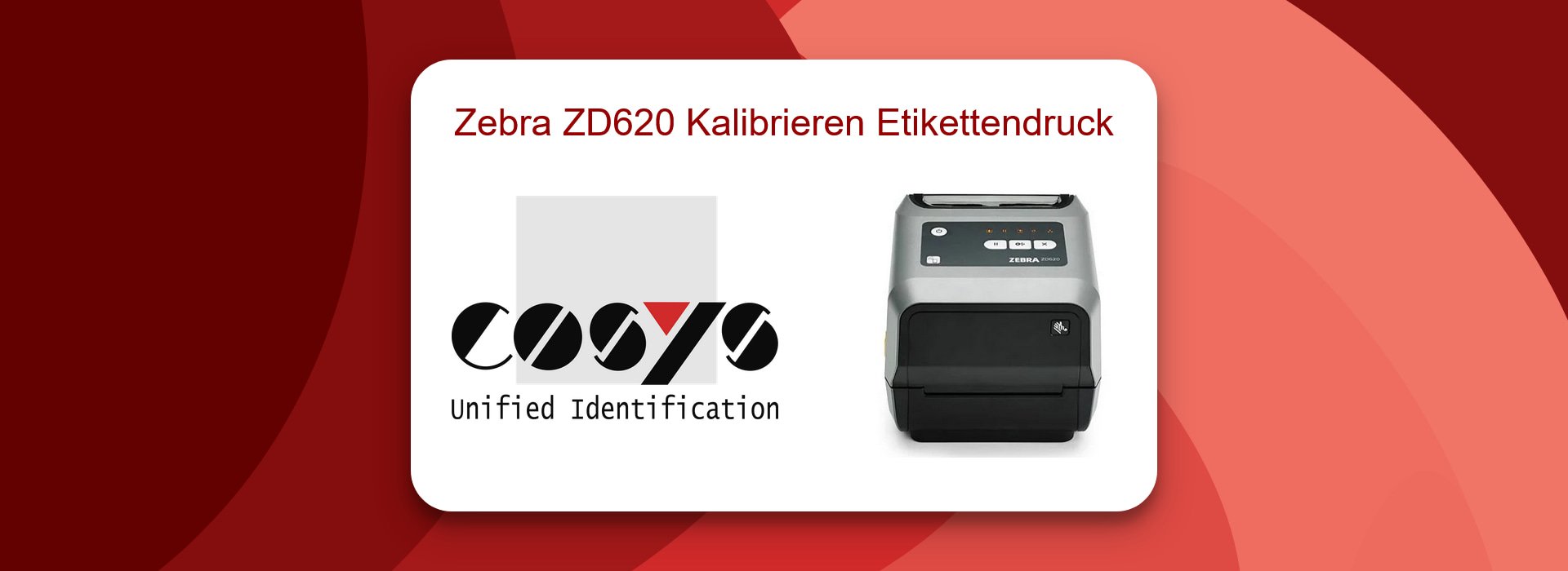 Anleitung zur Zebra ZD620 Drucker Kalibrierung