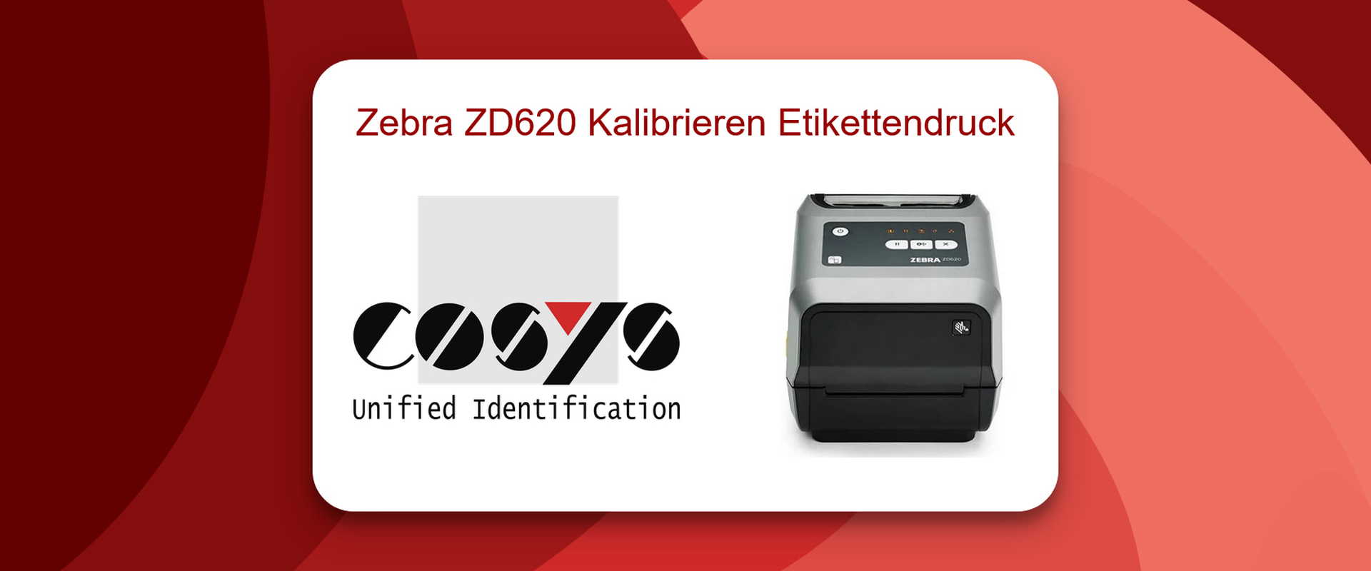 Kalibrierung eines Zebra ZD620 Druckers