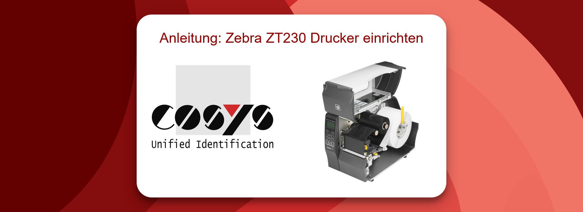 Anleitung: Zebra ZT230 Drucker einrichten