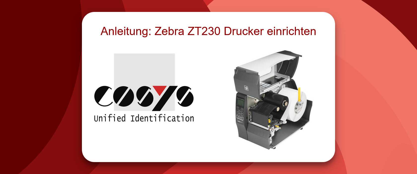 Zebra ZT230 Einrichtung