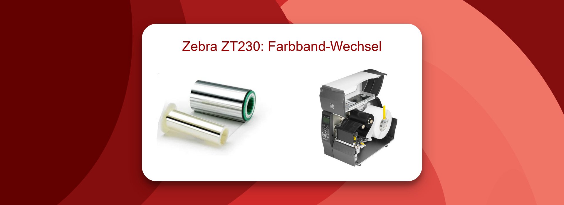 Zebra ZT230: Farbband-Wechsel Anleitung