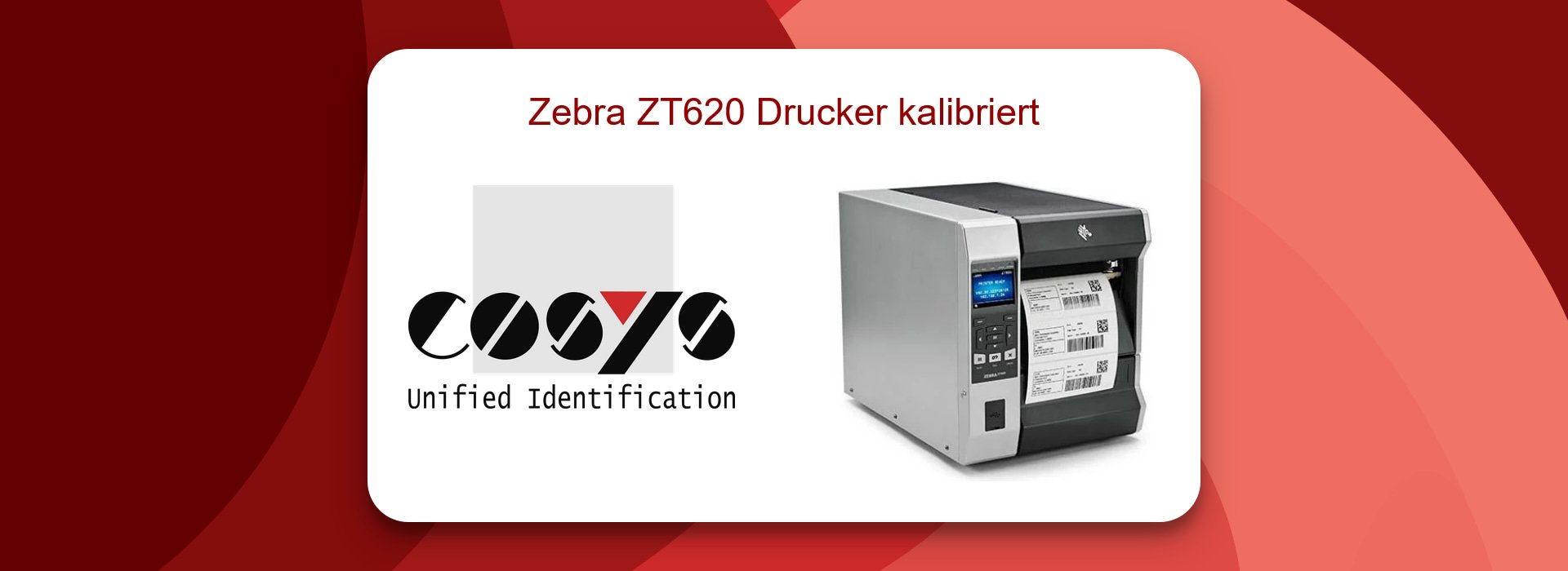 Zebra ZT620 Kalibrierung Fehlerbehebung